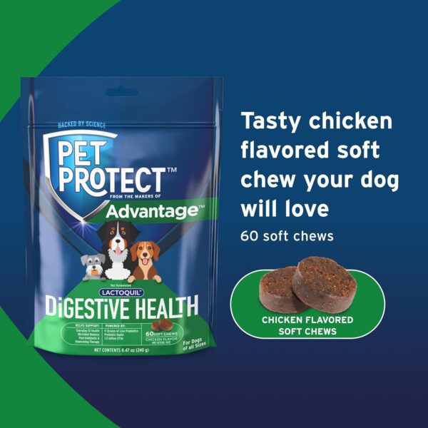 Pet Protect from The Makers of Advantage Vet-Formulated Dog Digestive Health Supplement | 60 Chews - Image 5