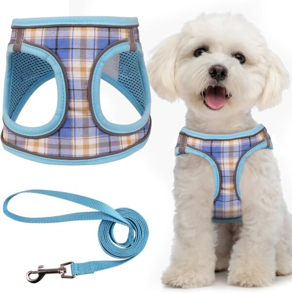 Dog Harness for Small Dogs,Small Dog Harness Puppy Harness Breathable Mesh Reflective Adjustable Safety Buckle XS Dog Harness Puppy Harness and Leash Set(Blue&XS)