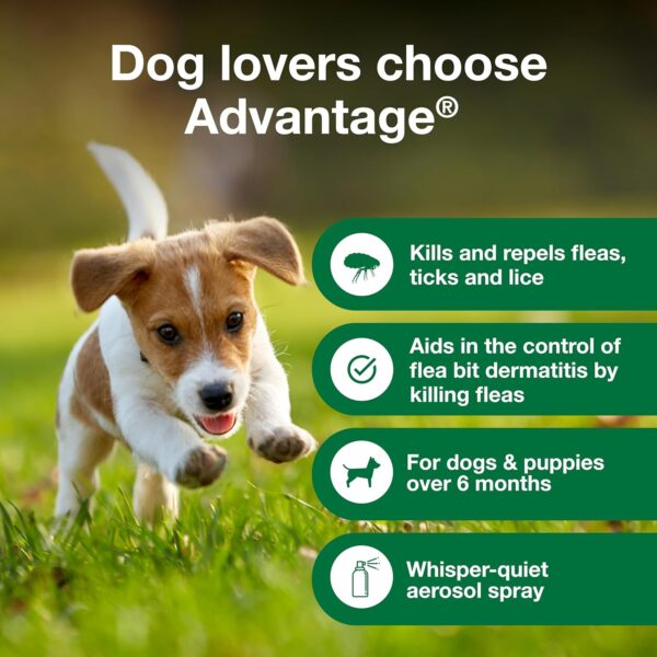 Advantage Dog Flea Treatment Spray | Kills Fleas & Ticks | Dog Flea Spray | 8 oz. - Image 4