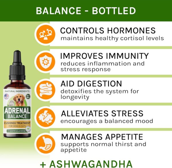 Аdrеnаl Balance for Dogs and Cats - Cushings Treatment for Pets, Аdrеnаl Support w/Ashwagandha, Licorice Root, Rhodiola Rosea – Best Cushings Treatment for Dogs - 2oz Harmony Herbal Drops - Image 2