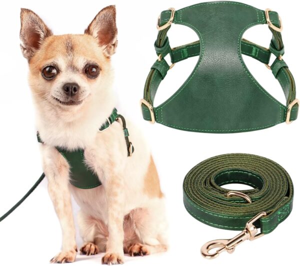 Didog No Pull Dog Harness for Small Dogs, Soft & Lightweight Small Dog Harness and Leash Set, Durable & Adjustable Leather Dog Harness Medium Size Dog, Green, M