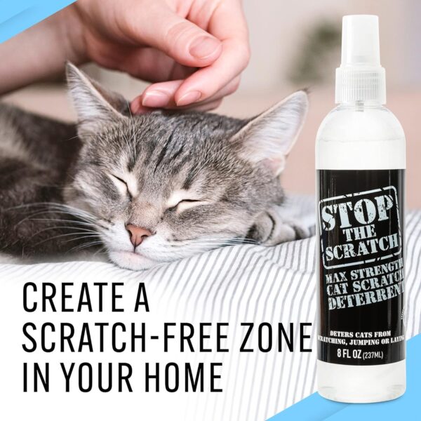 Emmy's Best EBPP Stop The Scratch Cat Spray Deterrent for Kittens and Cats - Non-Toxic, Safe for Plants, Furniture, Floors and More Cat Deterrent Spray with Rosemary Oil - Image 7