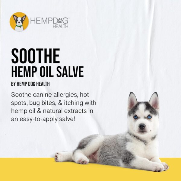 SOOTHE - Hemp Salve for Natural Dog Allergy Relief & Everyday Bug Bite & Hot Spot Itch Relief for Dogs - Made with Natural Extracts & Human-Grade Hemp Oil for Dogs - Image 2