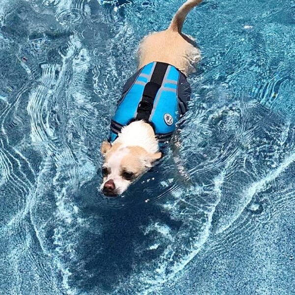 VIVAGLORY Sports Style Dog Life Jacket with Adjustable & Durable, Extra Flotation Swim Life Vest with Secure Fastening System for Small Dogs, Blue - Image 7