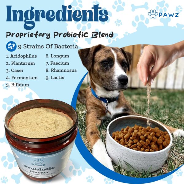 PAWZ Probiotic Powder for Dogs - 90 Scoops Steak Flavor - Promotes Gut Health and Digestion - Probiotics Supplement Support Immune System & Skin and Coat Health - Suitable for All Types of Dogs - Image 3