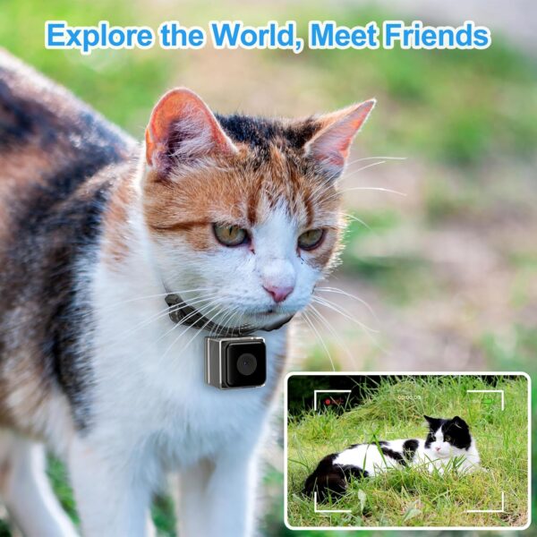 Cat Camera Collar,No APP No WiFi Needed Cordless Cat Collar Camera with Video Record, XS-Size Collar for Cats/Small Dogs,Pet Collar Camera Outdoor,Camera for Cat Collar(NO SD Card Included) - Image 2