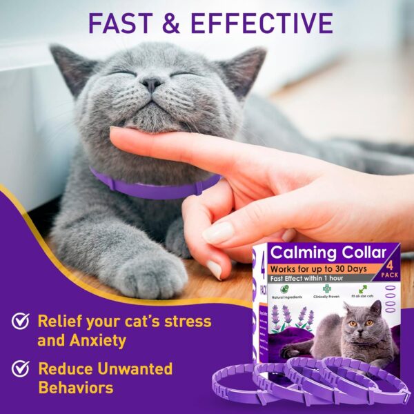 4 Pack Calming Collar for Cats – Pheromone Cat Calming Collar Cat Anxiety Relief and Stress – Adjustable Water Resistant Breakaway Calming Collars Natural Ingredients Pheromones Rapid Effect - Image 2