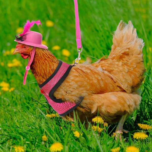 9 Pcs Chicken Harness with Leash and Chicken Hats Set, Funny Chicken Accessories Chicken Hats for Hens Duck Goose Parrot Small Pet Harness Adjustable Chicken Training Walking Supplies - Image 5