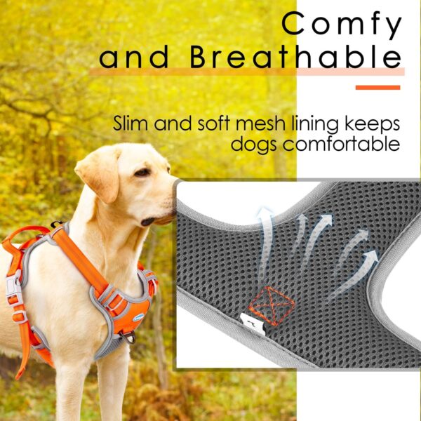 ThinkPet No Pull Harness set Breathable Sport Harness with Handle - Reflective Padded Dog Safety Vest with Reflective Neon Dog Leash S Harness Leash Pack Orange - Image 3