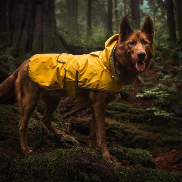 Wilderdog Dog Jacket Waterproof Raincoat with Breathable Interior, Removable Hood, Torso Strap, Secure Closures, Back Pocket and Two Hanging Loops, Foldable into Back Pocket - Image 5