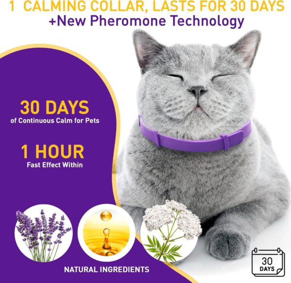 4 Pack Calming Collar for Cats – Pheromone Cat Calming Collar Cat Anxiety Relief and Stress – Adjustable Water Resistant Breakaway Calming Collars Natural Ingredients Pheromones Rapid Effect - Image 4