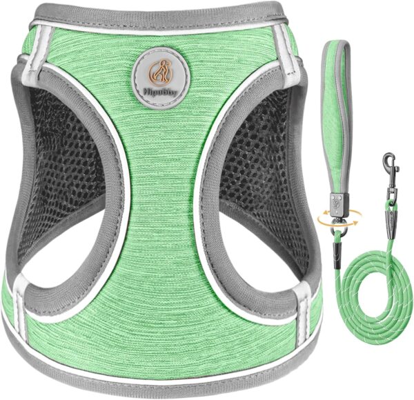 Small Dog Harness with Leash: Adjustable Puppy Harness - Soft Pet Harness for Dogs Walking Running (XXS,Green)