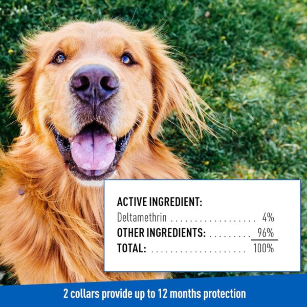 Adams Flea & Tick Collar for Dogs & Puppies | 2 Pack | 12 Month Protection | Adjustable One Size | Kills Fleas, Ticks & Repels Mosquitoes | Excluding California - Image 8