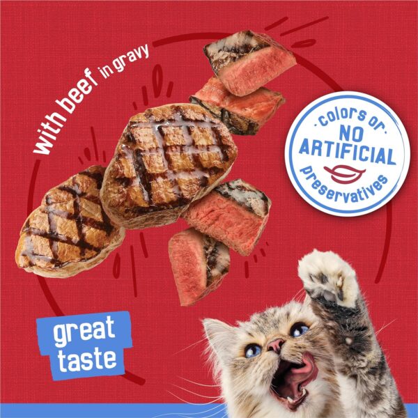 Purina Friskies Gravy Wet Cat Food, Shreds With Beef in Gravy - (Pack of 24) 5.5 oz. Cans - Image 3