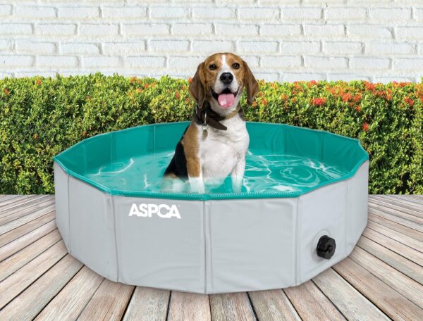 Foldable Dog Pet Bath Pool Collapsible Pool Bathing Tub for Dogs & Cats