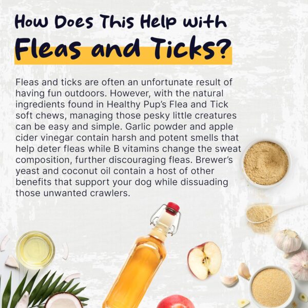 Flea and Tick Prevention for Dogs, Chewable – 90 Peanut Butter Flavored Soft Chews – Made with B Vitamins, Garlic Powder, Brewers Yeast, Coconut Oil, and Apple Cider Vinegar - Image 3