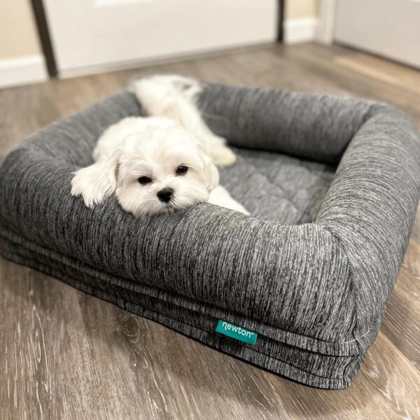 Newton Orthopedic Pet Bed - Washable Dog Bed for Small Dogs, Puppy Bed, Crate Bed, with Removable & Breathable Dog Bed Cover, Comfy & Durable Dog Bed for Small to Large Dogs, Dog Essentials, Small