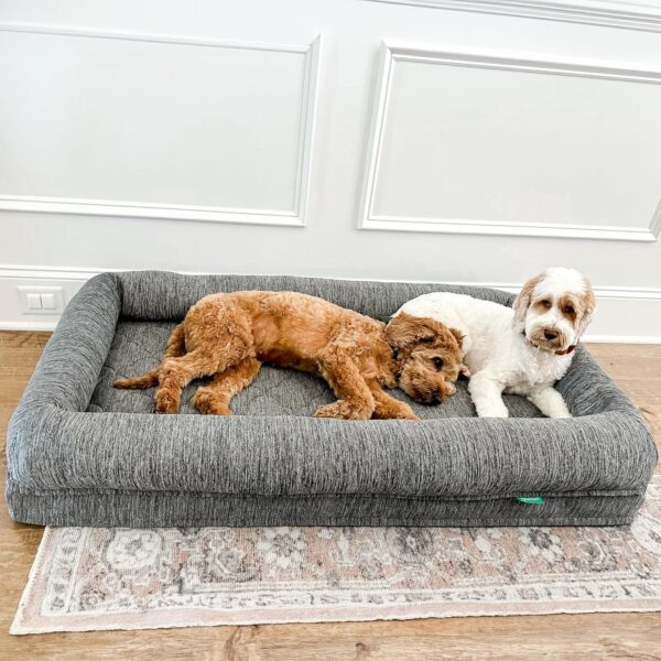 Newton Orthopedic Pet Bed - Washable Dog Bed for Large Dogs, Puppy Bed, Crate Bed, with Removable & Breathable Dog Bed Cover, Comfy & Durable Dog Bed for Small to Large Dogs, Dog Essentials, Large