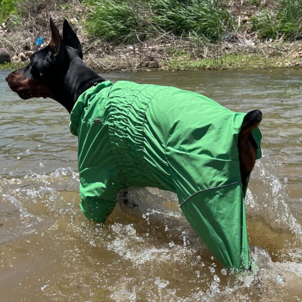 Dogs Waterproof Jacket, Lightweight Waterproof Jacket Reflective Safety Dog Raincoat Windproof Snow-proof Dog Vest for Small Medium Large Dogs Green M - Image 9