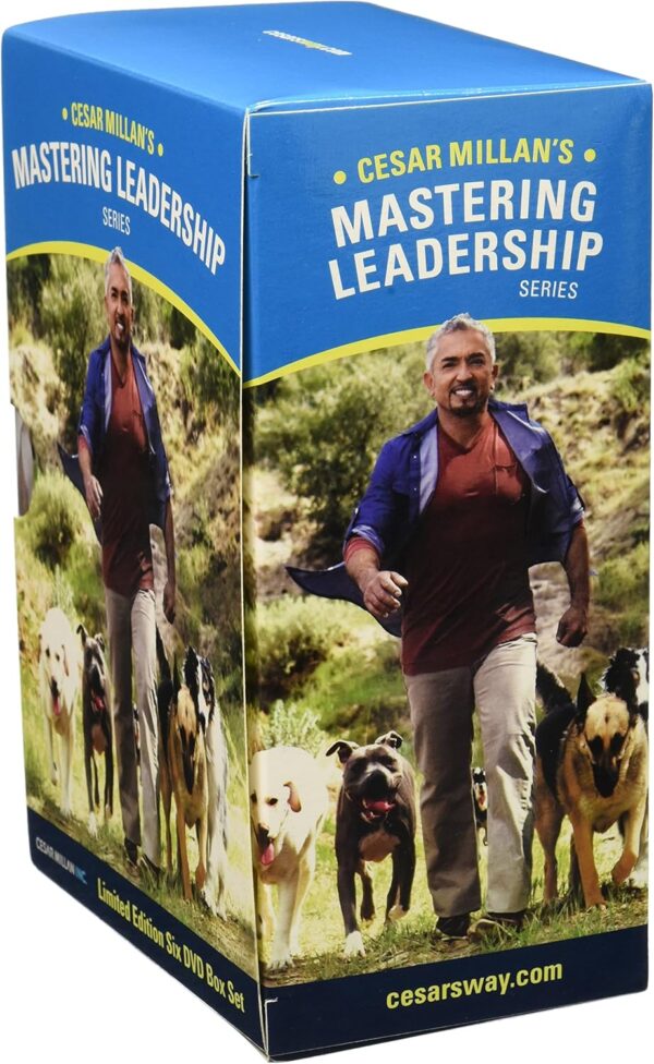 Cesar Millan Mastering Leadership Series Six DVD Box Set for Dog Training and Behavior - Image 2