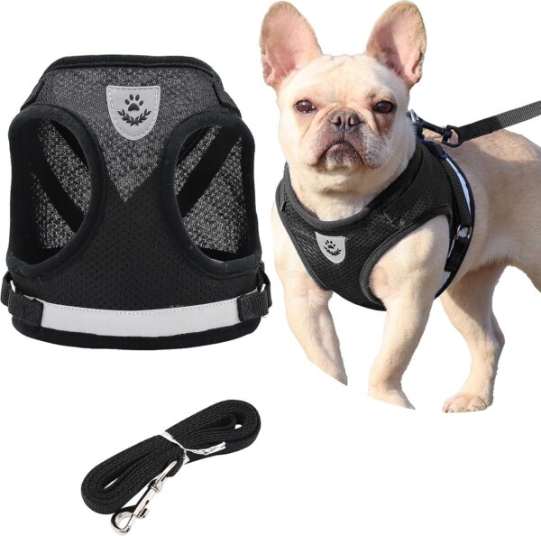 Step in Dog Harness and Leash Set,Reflective Adjustable Soft Mesh Breathable Pet Vest Dog Harnesses Set, No Chock No Pull Padded Puppy Harnesses for Small Dogs and Cats (Black, Large)