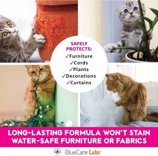 Stop Scratching Cat Spray to Keep Cats Off Furniture, Non-Toxic Cat Spray Deterrent, Stops Chewing Cords, Plants and More, Indoor and Outdoor Safe, Lemongrass Scent, Made in USA - Image 6