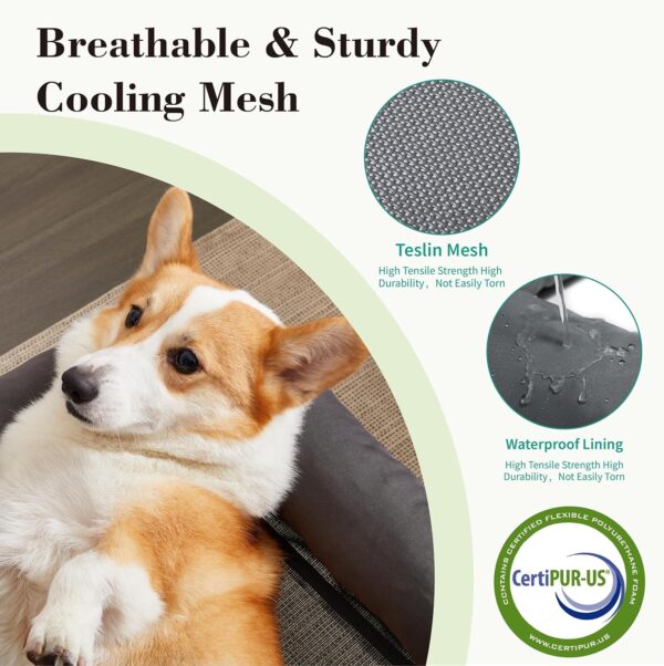 Cooling Elevated Dog Bed with Pillows,Portable Washable Raised Dog Cot Bed with Chew Proof Mesh and Metal Frame,No-Slip Rubber Feet for Indoor & Outdoor Use,Medium,Deep Grey - Image 3