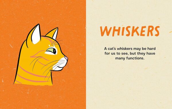 Kitty Language: An Illustrated Guide to Understanding Your Cat - Image 4