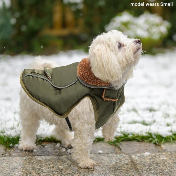 Dog Winter Coat - Warm Dog Clothes for Rain Snow Wind Cold Weather - Reflective Adjustable Cozy Waterproof Windproof Dog Vest Jacket with Leash Hole for Small Medium Large Dogs Indoor Outdoor - Image 5