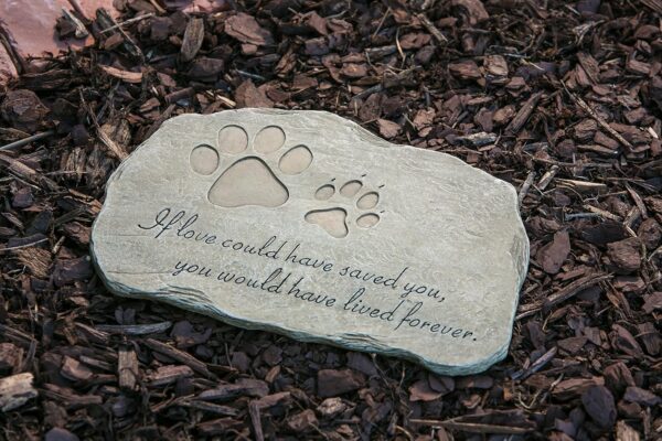 Evergreen Pet Paw Print If Love Could Have Saved You Garden Memorial Stone | Outdoor Safe | 12-Inch | Rainbow Bridge | Rememberance for Lost Love One - Image 4