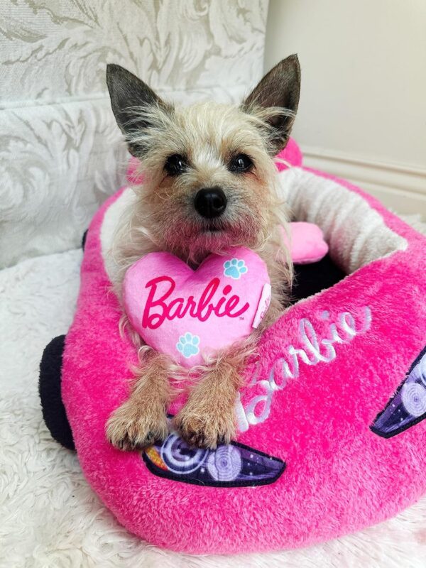 Barbie Plush Car Pet Bed - Image 8