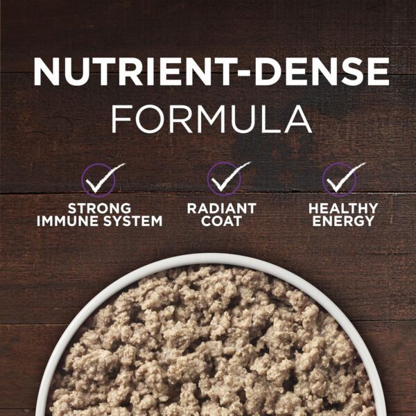 Purina ONE Wet Dog Food True Instinct Classic Ground Grain-Free Formula With Real Beef and Bison High Protein Dog Food - (Pack of 12) 13 oz. Cans - Image 2