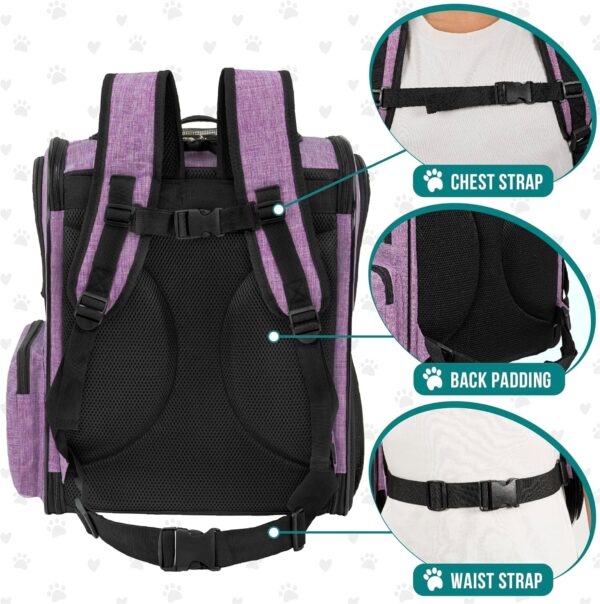 PetAmi Dog Backpack Carrier For Small Large Cat, Pet, Puppies, Ventilated Pet Hiking Backpack Travel Bag, Airline Approved Cat Backpack Carrier, Safety Back Support, Camping Biking, Max 18 lbs, Purple - Image 4