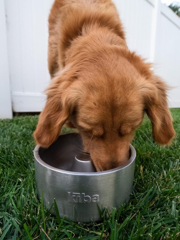 Stainless Steel Slow Feed/Feeder Dog Bowl (Ultra Premium) 64oz - Kiba Pet Supply Ozark - Superior 304 - Food Grade, Non-Slip, Rust Resistant - Perfect for Medium to Large Breeds - Image 4