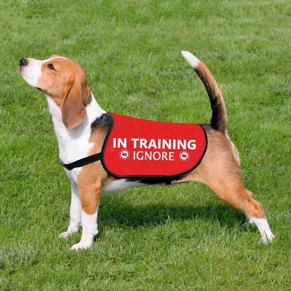 HOLLP Training Dog Jacket Vest in Training Ignore Dog Vest Dog Walking Jacket Warning Vest (in Training Ignore-Large) - Image 4