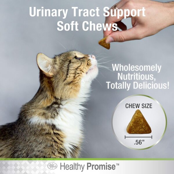 Four Paws Healthy Promise Cat Urinary Tract Supplement Soft Chews 110 Count - Image 2