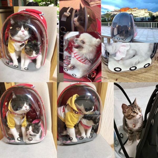 Cat Backpack Carrier Bubble Bag, Transparent Space Capsule Pet Carrier Dog Hiking Backpack, Small Dog Backpack Carrier for Cats Puppies Airline Approved Travel Carrier Outdoor Use Red - Image 6