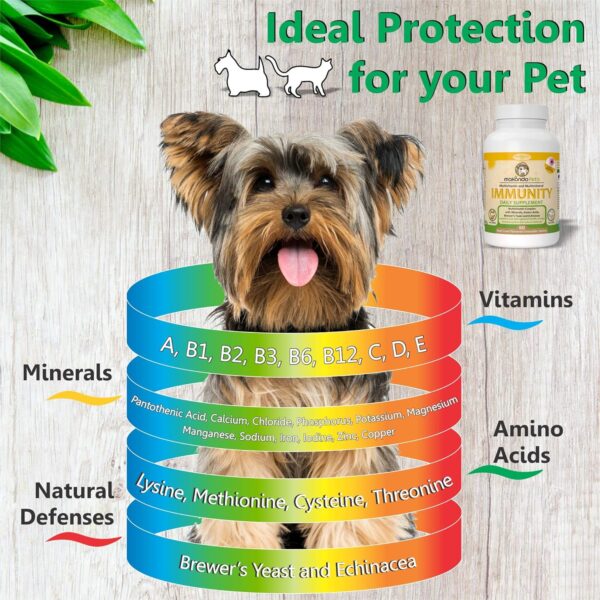 Immune Support Dog Supplement - Dog Allergy Relief with Vitamins, Minerals, Echinacea and Brewers Yeast for Dogs - Immunity Dog Health Supplies, Dog Itch Relief - Cat & Dog Vitamins and Supplements - Image 3