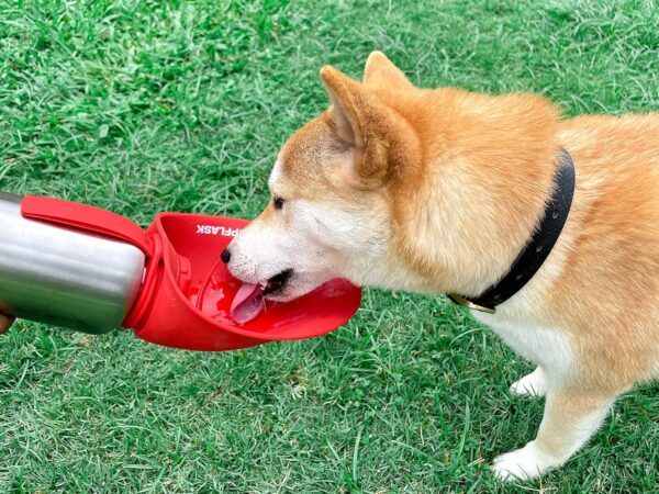 PupFlask Large Dog Water Bottle | 27 or 40 OZ Stainless Steel | Convenient Dog Water Dispenser | Puppy Travel Water Bowl | Portable Pet Water Bottle | Leak Proof Bottle Perfect Size For All Dog Breeds - Image 9