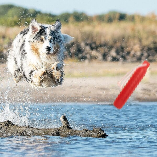 Dog Float Toy - Interactive Training Bumper & Fetching Retrieving Dog Water Toys Dummy Outdoor - Lightweight for Float on The Water Pool Fetch Rope Dog Toys for Small, Medium, Large Dogs - Image 7