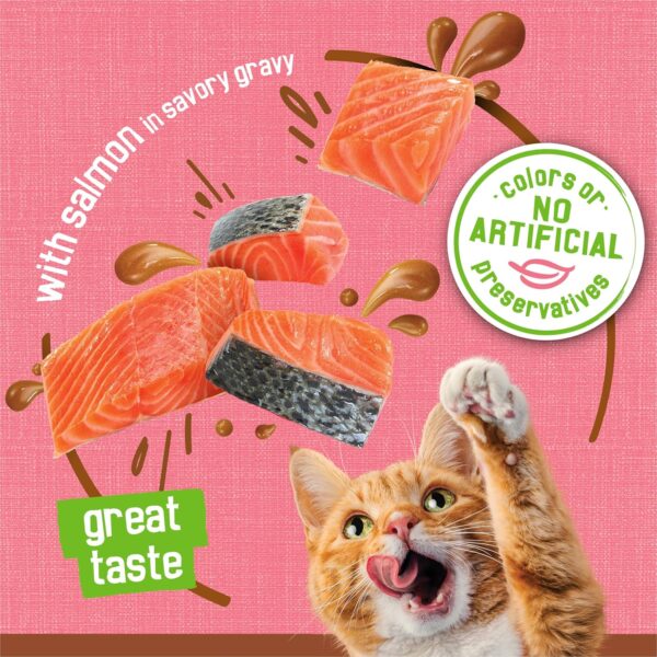 Purina Friskies Wet Cat Food Extra Gravy Pate With Salmon in Savory Gravy - (Pack of 24) 5.5 oz. Cans - Image 3