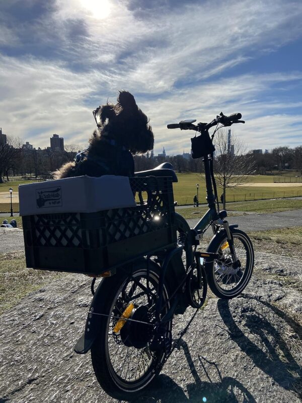 DIY Crate Conversion/Bike Dog Carrier Package (Crate NOT Included) Padded Liner is 2 Sizes in One + 4 Point Safety Harness & Crate Fasteners Holds Pets 20lb+ for Safe Pet Bicycle Travel - Image 7