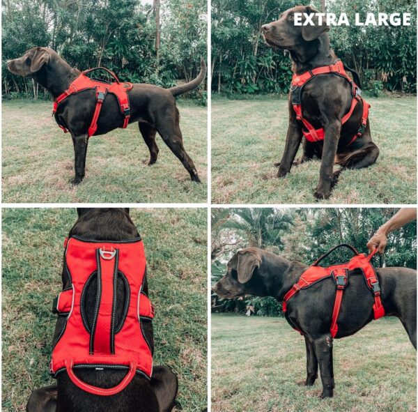 Tuff Pupper Updated for 2024 - Tracker No Escape Dog Harness | Dual Escape Proof Leash Attachments | 5 Point Adjustable Fit Harness for Dogs | Padded Dog Harness for Comfort | Handle Dog Lift Harness - Image 3