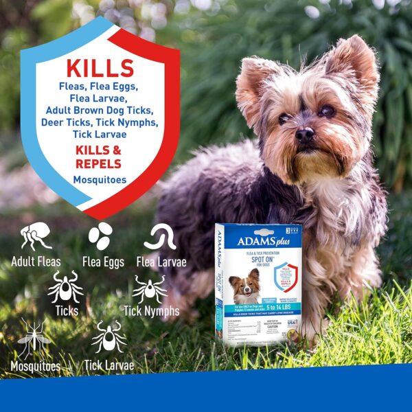 Adams Plus Flea & Tick Prevention Spot On for Dogs 5-14 Pounds, 3-Month Supply, Kills Fleas, Flea Eggs, Flea Larvae, Brown Dog & Deer Ticks, Kills and Repels Mosquitoes For 30 Days, Central Brands - Image 2