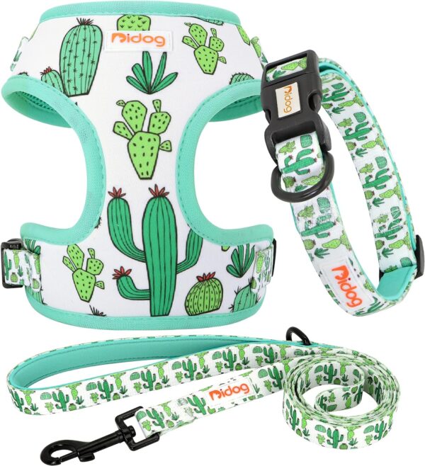 Didog No Pull Dog Harness Collar and Leash Set, Cute Pattern Puppy Dog Harness with Adjustable Collars and Leash, Soft Padded Air Mesh Vest for Small Dogs Walking Training(Cactus, XS)