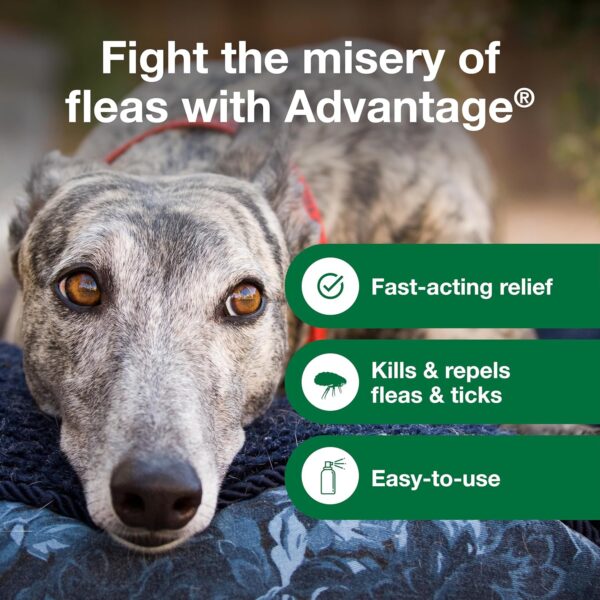 Advantage Dog Flea Treatment Spray | Kills Fleas & Ticks | Dog Flea Spray | 8 oz. - Image 7