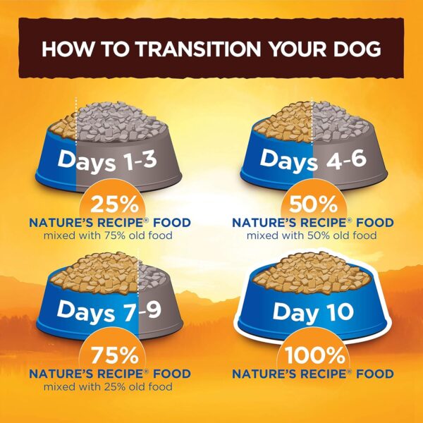 Nature′s Recipe Grain Free Chicken, Sweet Potato & Pumpkin Recipe Dry Dog Food, 4 lb. Bag - Image 11