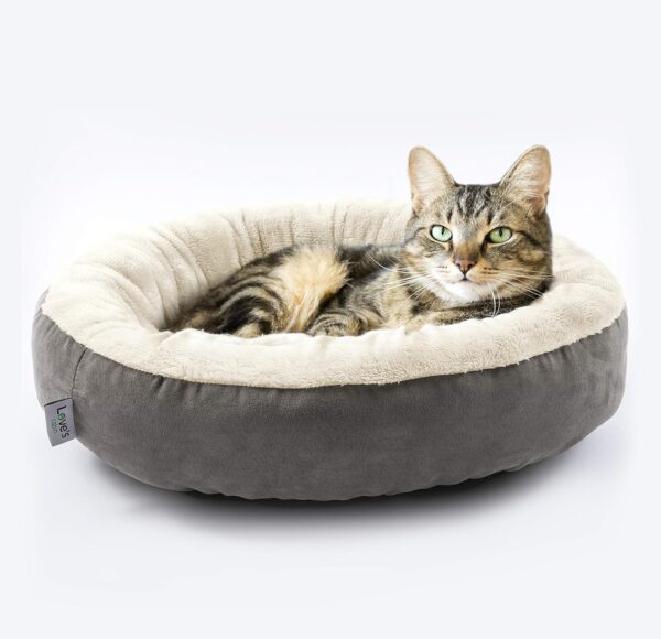 Love's cabin Round Donut Cat and Dog Cushion Bed, 20in Bed for Cats or Small Dogs, Anti-Slip & Water-Resistant Bottom, Super Soft Durable Fabric Pet Beds, Washable Luxury Cat & Dog Bed Gray - Image 8