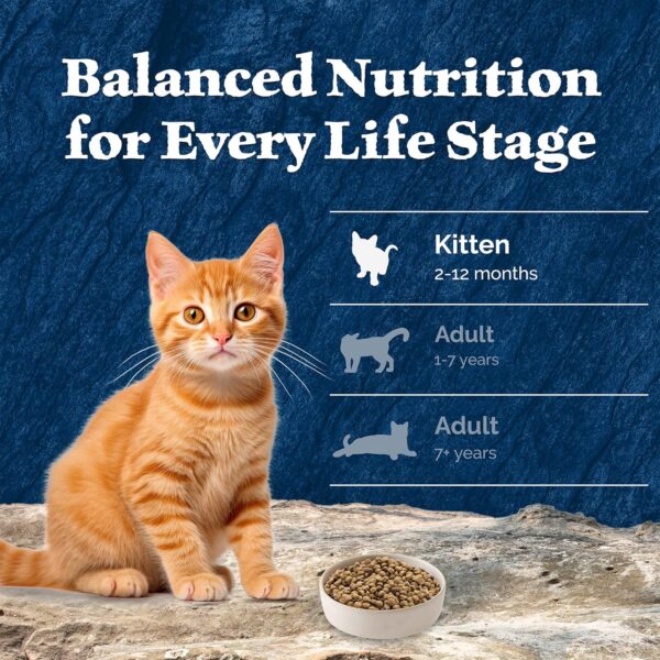 Blue Buffalo Wilderness Natural Kitten Dry Cat Food, with DHA and ARA to Support Brain and Eye Development, High-Protein and Grain-Free Diet, Chicken, 5-lb. Bag - Image 8