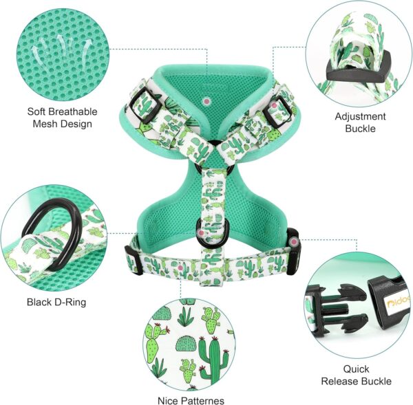 Didog No Pull Dog Harness Collar and Leash Set, Cute Pattern Puppy Dog Harness with Adjustable Collars and Leash, Soft Padded Air Mesh Vest for Small Dogs Walking Training(Cactus, XS) - Image 2